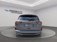 Usata Ford Kuga ST-Line 120 CV (88 kW) 2022 Argento SUV