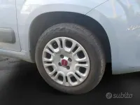 Usata Fiat Panda Lounge 70 CV (51 kW) 2020 Grigio Utilitaria
