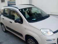 Usata Fiat Panda 69 CV (50 kW) 2013 Bianco Utilitaria