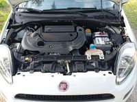 Usata Fiat Punto Evo Dynamic 86 CV (63 kW) 2011 Utilitaria