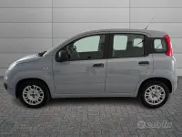 Usata Fiat Panda S 70 CV (51 kW) 2021 Grigio Utilitaria