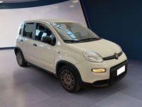 Usata Fiat Panda S 69 CV (50 kW) 2023 Bianco Utilitaria