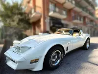 Usata Corvette Stingray 1980 Bianco Coupé