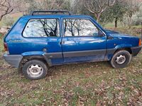 Usata Fiat Panda 4x4 Trekking 45 CV (33 kW) 2004 Blu Utilitaria