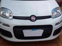 Usata Fiat Panda 95 CV (69 kW) 2016 Bianco Utilitaria
