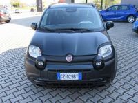 Usata Fiat Panda Cross Cross 69 CV (50 kW) 2025 Verde Utilitaria