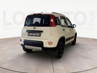 Usata Fiat Panda 4x4 Wild 86 CV (63 kW) 2021 Bianco Utilitaria