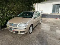 Usata Fiat Punto Active 60 CV (44 kW) 2009 Oro Utilitaria