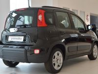 usata Fiat Panda Panda NUOVA My23 1.2 69cv EasypowerGpl