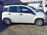 Nuova Fiat Panda 69 CV (50 kW) 2025 Bianco gelato Utilitaria