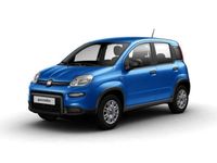 Brugt Fiat Panda S 70 HK (51 kW) 2024 Gul Hatchback