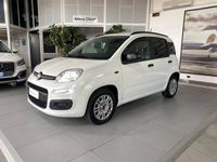 usata Fiat Panda 1.2 BENZINA 69 CV MOD. EASY