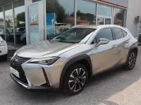 Usata Lexus UX 152 CV (111 kW) 2020 Grigio SUV