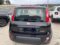 usata Fiat Panda MY 24 1.0 70 CV HYBRID KM 0