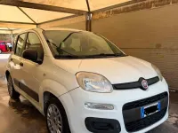 Usata Fiat Panda Easy 95 CV (69 kW) 2015 Bianco Utilitaria