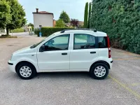 Usata Fiat Panda 75 CV (55 kW) 2010 Bianco Utilitaria