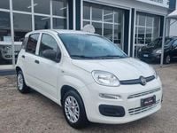 Usata Fiat Panda Easy 69 CV (50 kW) 2018 Bianco Utilitaria