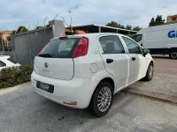 Usata Fiat Punto 95 CV (69 kW) 2017 Bianco Utilitaria