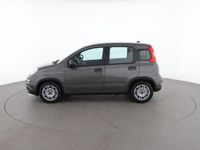 usata Fiat Panda MR56773