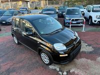 Usata Fiat Panda City Life 70 CV (51 kW) 2024 Nero Utilitaria