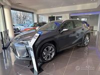 Usata Lexus UX 300e Luxury Line 150 kW (204 CV) 2024 Grigio SUV