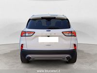 Usata Ford Kuga Titanium X 120 CV (88 kW) 2023 Bianco SUV
