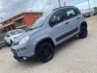 Usata Fiat Panda 4x4 S 95 CV (69 kW) 2018 Grigio Utilitaria
