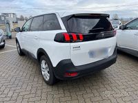 Usata Peugeot 5008 Business-Line 131 CV (96 kW) 2019 Bianco SUV