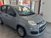 usata Fiat Panda Panda1.2 Easy 69cv NEOPATENTATI