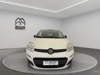 Usata Fiat Panda 4x4 Pop 85 CV (62 kW) 2019 Bianco Utilitaria