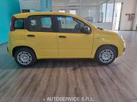 Nuova Fiat Panda S 69 CV (50 kW) 2025 Giallo Utilitaria