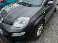 Usata Fiat Panda 69 CV (50 kW) 2019 Grigio Berlina