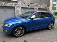 Usata Audi SQ5 Business 313 CV (230 kW) 2013 Blu/azzurro SUV