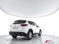 Usata Mazda CX-5 Evolve 150 CV (110 kW) 2013 Bianco SUV