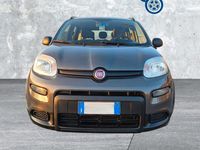 Usata Fiat Panda City Life 70 CV (51 kW) 2021 Grigio Utilitaria