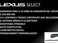 Usata Lexus UX 183 CV (134 kW) 2019 Grigio SUV