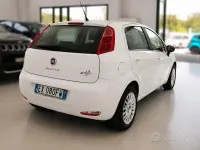 Usata Fiat Punto Street 69 CV (50 kW) 2014 Bianco Utilitaria