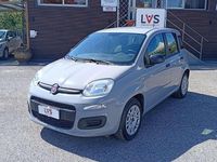Usata Fiat Panda Easy 69 CV (50 kW) 2020 Grigio Utilitaria