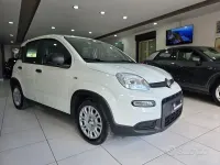 Usata Fiat Panda S 69 CV (50 kW) 2024 Bianco Utilitaria