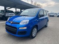 Nuova Fiat Panda Icon 65 CV (47 kW) 2026 Giallo positano / tetto nero Utilitaria