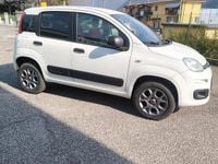 Usata Fiat Panda 4x4 2019 Bianco Utilitaria