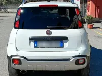 Usata Fiat Panda 4x4 S 84 CV (61 kW) 2020 Bianco Utilitaria