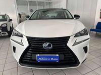 Usata Lexus NX300h Sport Line 197 CV (144 kW) 2021 Other SUV