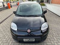 Usata Fiat Panda 69 CV (50 kW) 2023 Cinema Utilitaria