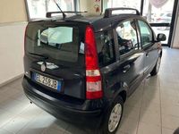 usata Fiat Panda 1.2 Dynamic 69cv E5