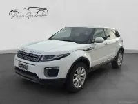 Usata Land Rover Range Rover evoque Pure 150 CV (110 kW) 2017 Bianco SUV