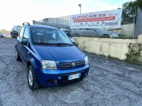 Usata Fiat Panda 4x4 69 CV (50 kW) 2006 Blu Utilitaria