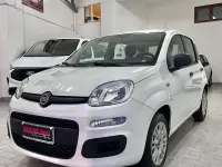 Usata Fiat Panda Easy 69 CV (50 kW) 2019 Bianco Utilitaria