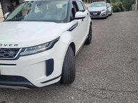 Usata Land Rover Range Rover 300 CV (220 kW) 2020 Bianco SUV