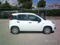 Usata Fiat Panda Easy 69 CV (50 kW) 2020 Bianco Utilitaria